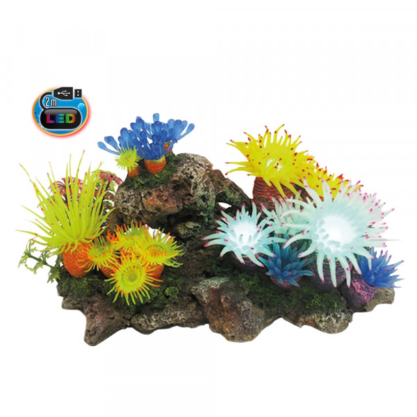 Aqua Ornaments "APLYSINA" mit LED