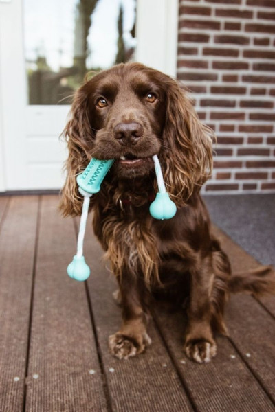 Rubber stick with rope "DENTAL LINE"