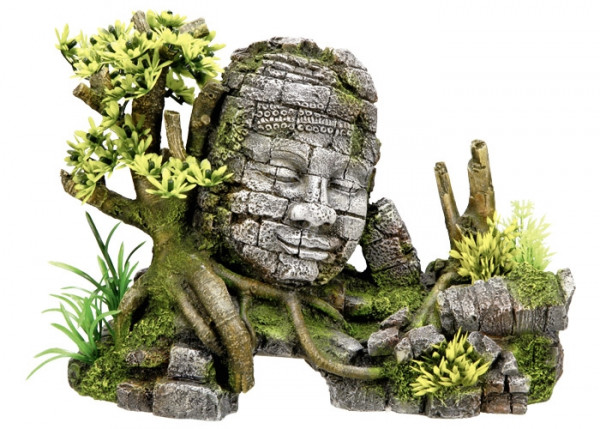 Aqua Ornaments "ANGKOR WATT" w/ plants