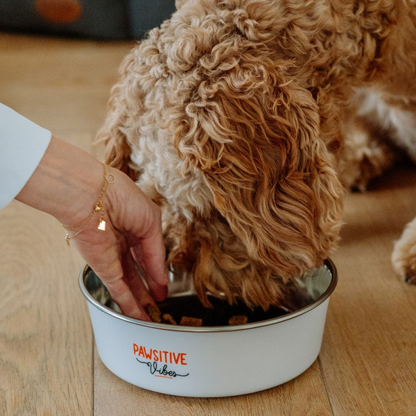 „Pawsitive Vibes“ Napf