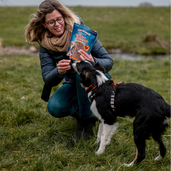 StarSnack Soft Chicken Sandwich