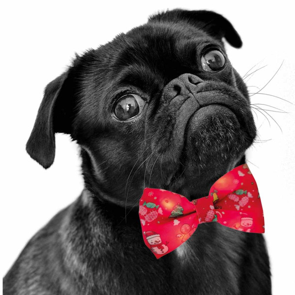 Christmas Halsband mit Schleife