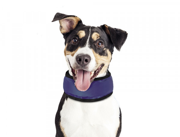 Nobby Cooling Loop S