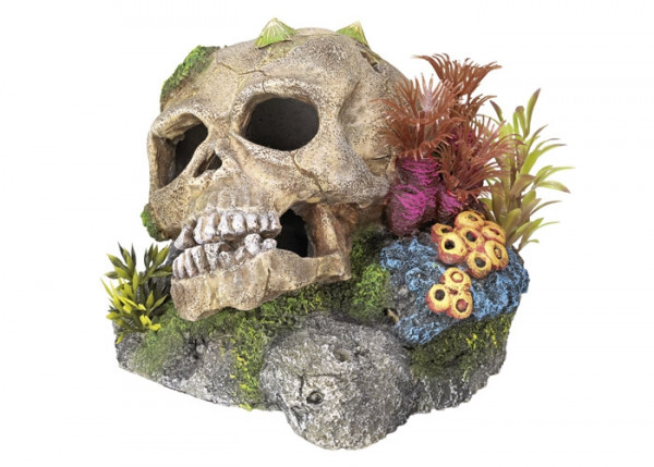 Aqua Ornaments "SCULL"- w/ plants