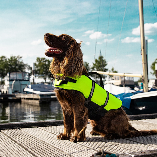 Hunde Schwimmhilfe