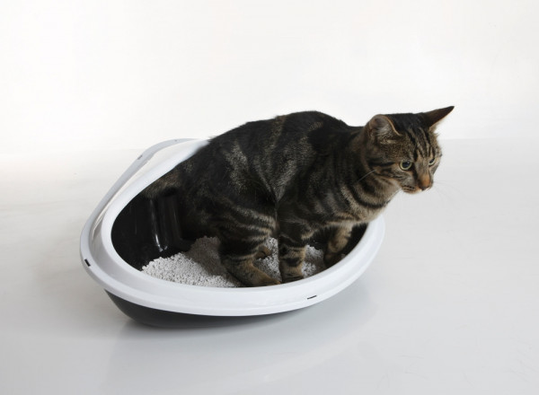 Corner toilet "Concha"