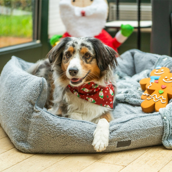 Christmas Halsband mit Tuch