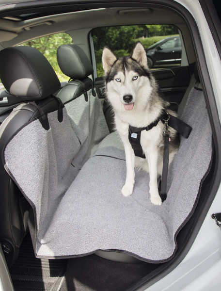 Car Seat protection
