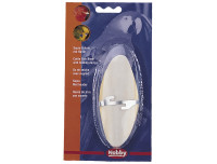 Cuttle fish Cuttle fish