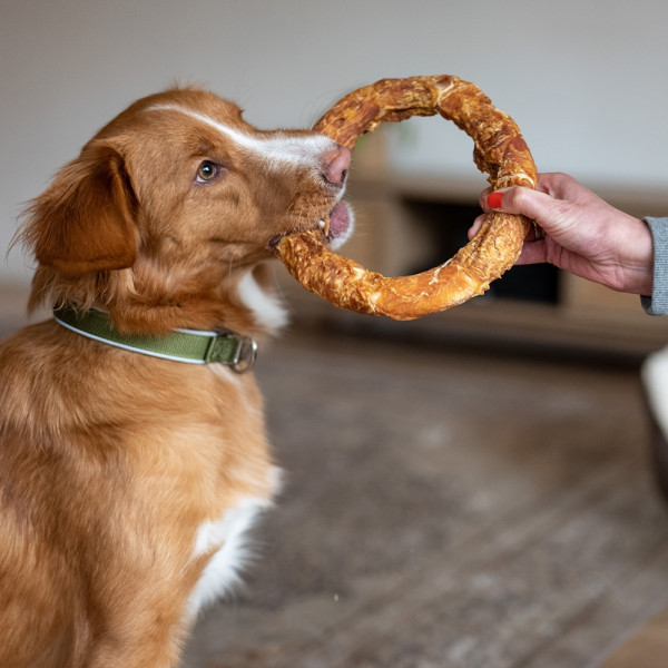 StarSnack BBQ Chicken Donut XL