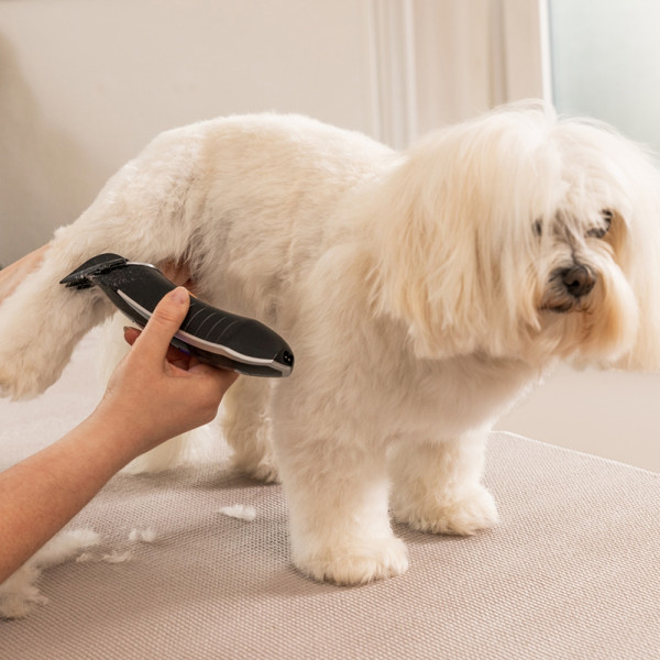 WAHL Smart Clip