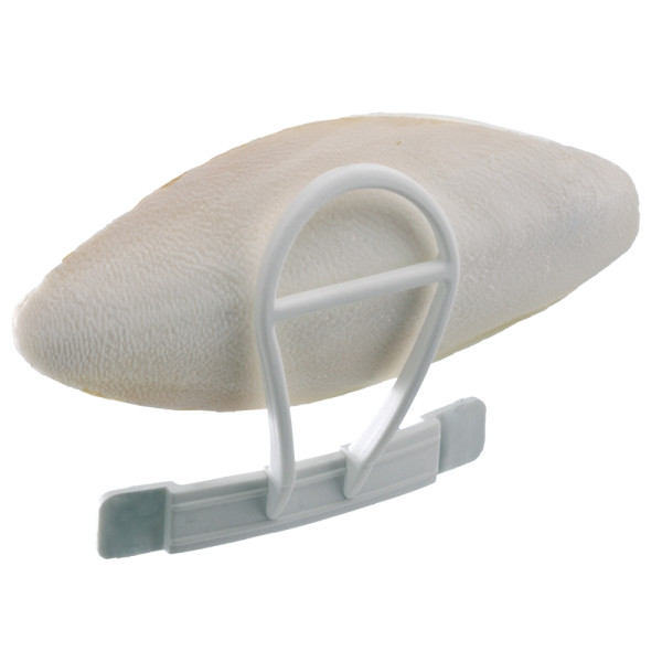 Holder for cuttle fish