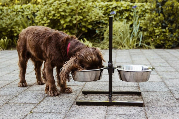 Dog-foodbar incl. 2 bowls