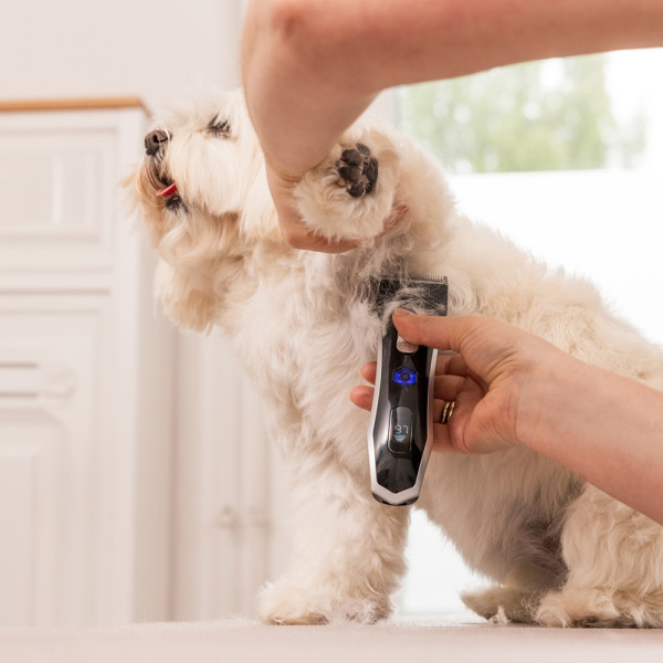 WAHL Smart Clip