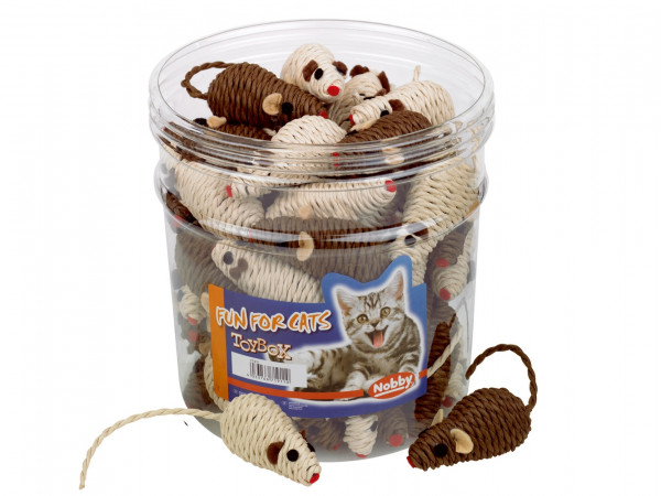 Toy Box Katze