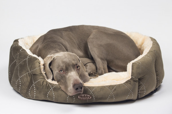 Komfort Bett oval "CENO"