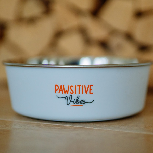 „Pawsitive Vibes“ steel bowl