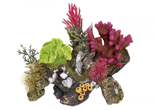 Aqua Ornaments "KORALLE" mit Pflanzen