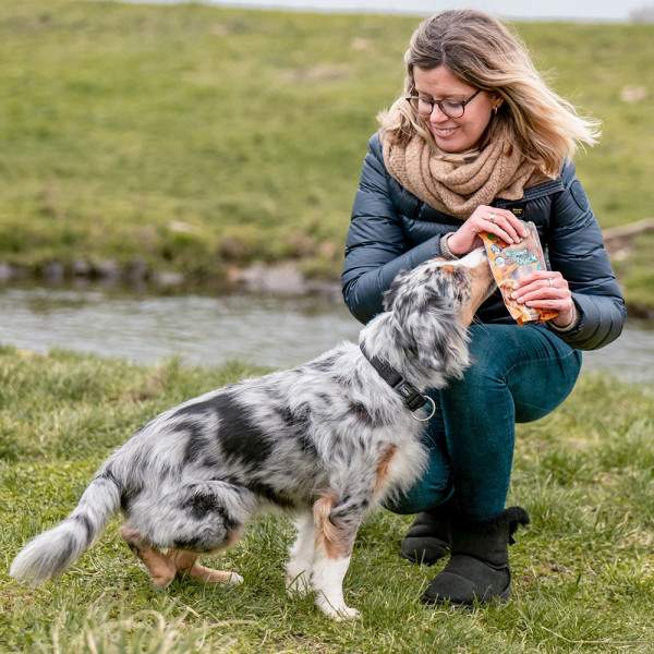 StarSnack BBQ Wrapped Chicken