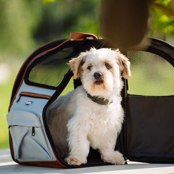 Rucksack "TOMEK"
