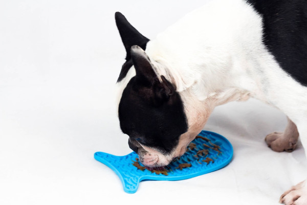 Silicone bowl "Fish"