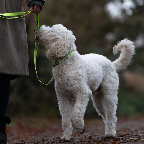 "Full Reflect" Lead leash