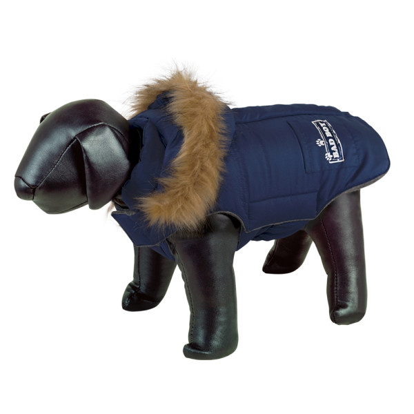 Dog coat "BAD BOY"