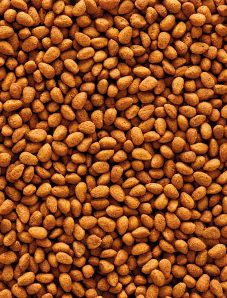 NutriBird G14 Original