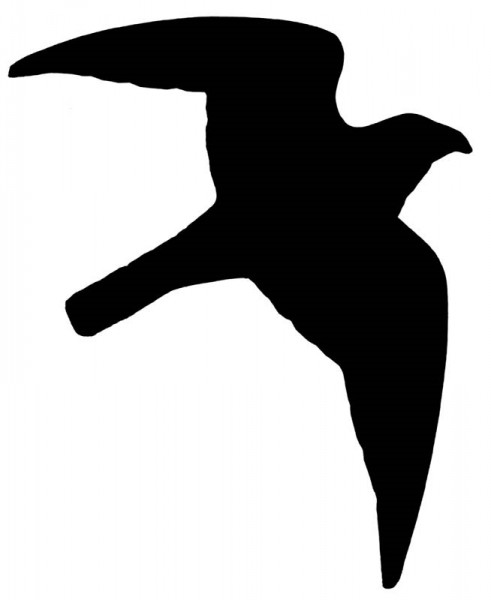 Sticker "bird of prey"