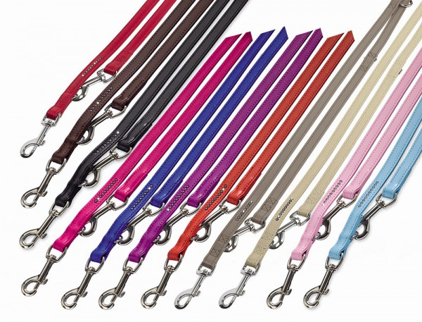 Training leash "Crystal"