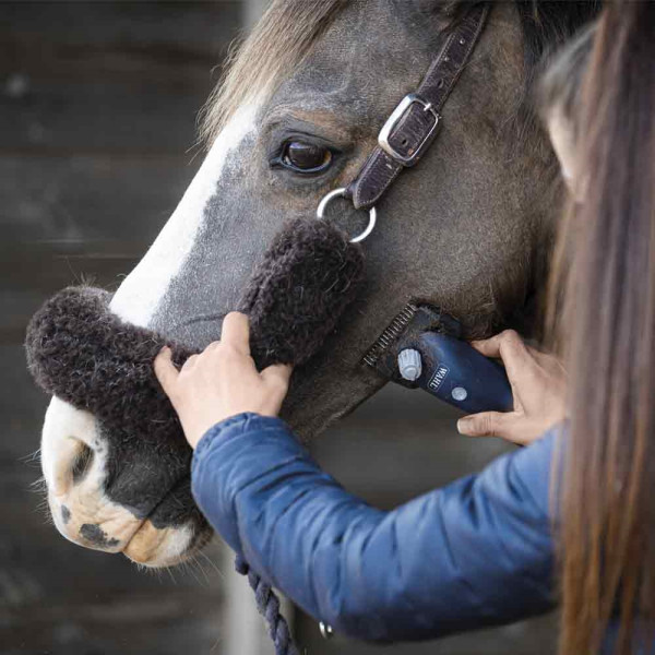 "Eclipse"Schneidemaschine