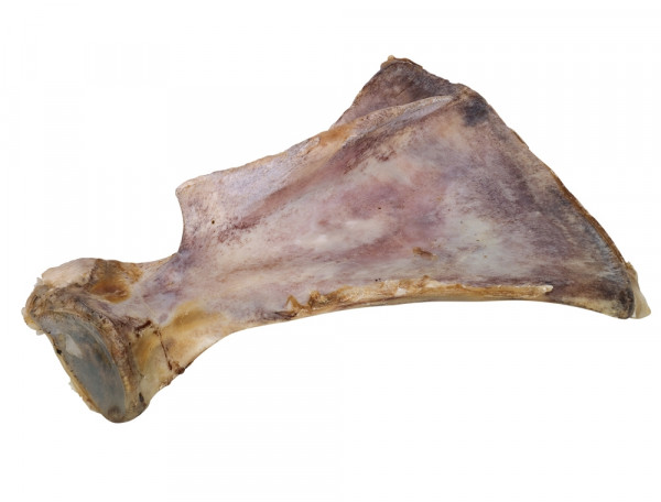 Nobby Nature Rinderschulterblatt