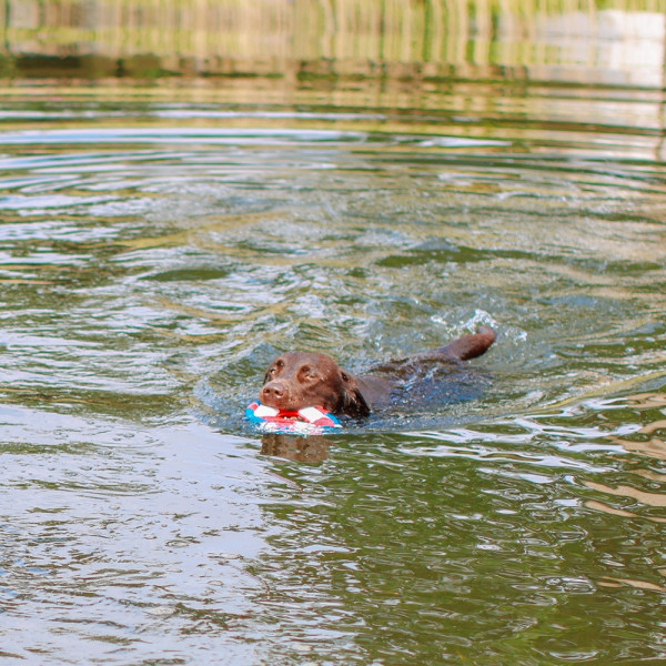 Floating toy with rope