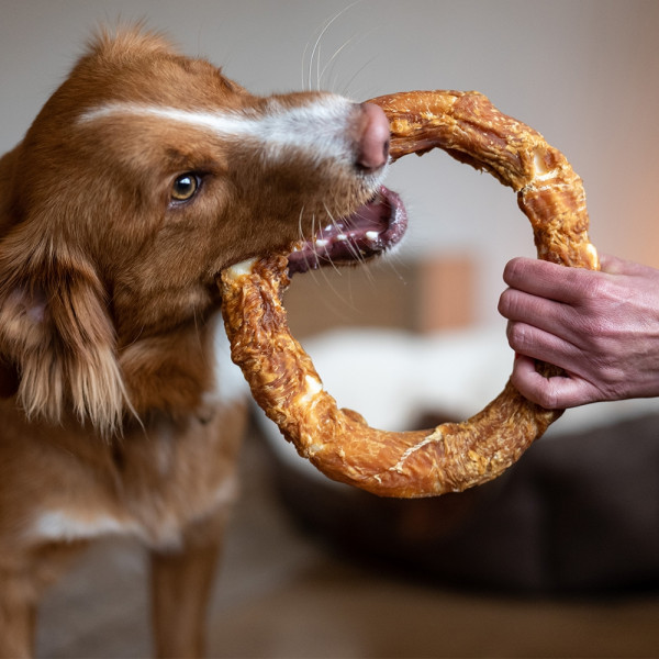 StarSnack BBQ Chicken Donut XL