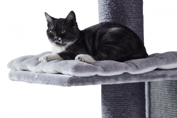 Cat-scratcher "YANKO"