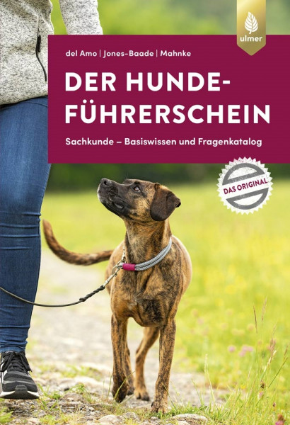 Der Hündeführerschein