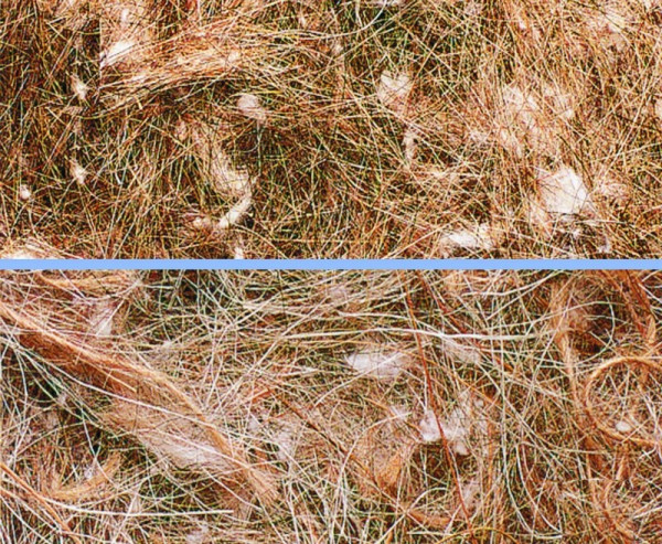 Nistmaterial "Animale Vegetale"