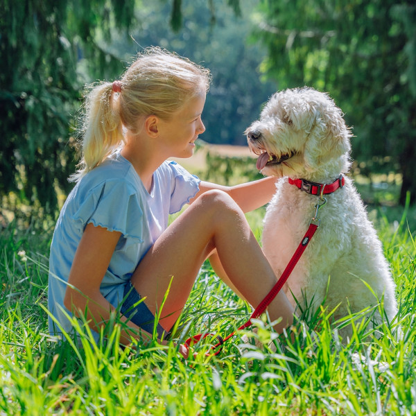 Halsband "Soft Grip"