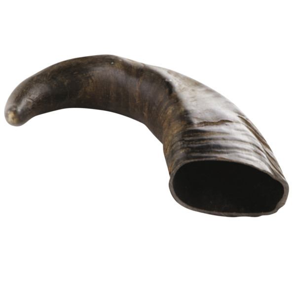 Buffalo Horn