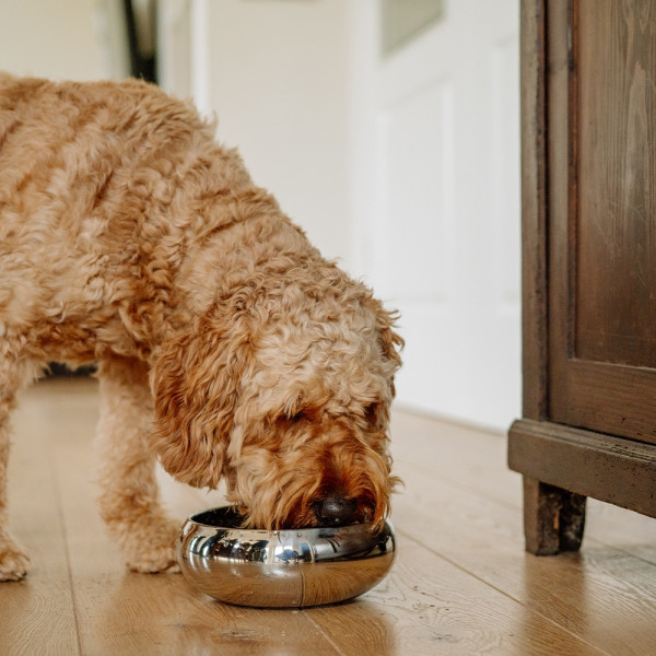 "Asil" Edelstahlnapf