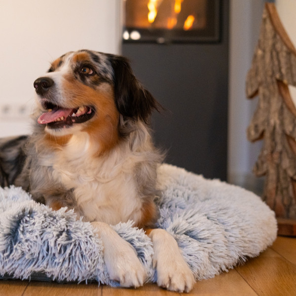 Comfort bed Donut "Seda"