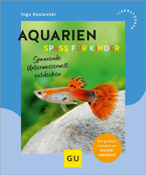 Aquarien Spaß für Kinder