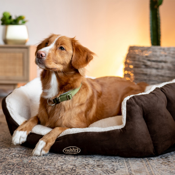 Comfort bed oval "TAIKA"