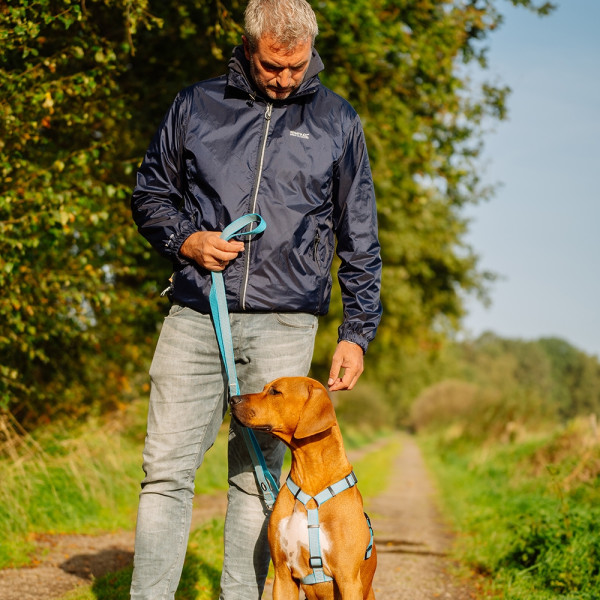 "Full Reflect" Harness