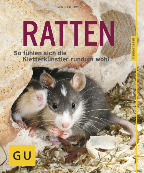 Ratten als Heimtiere, glücklich & gesund