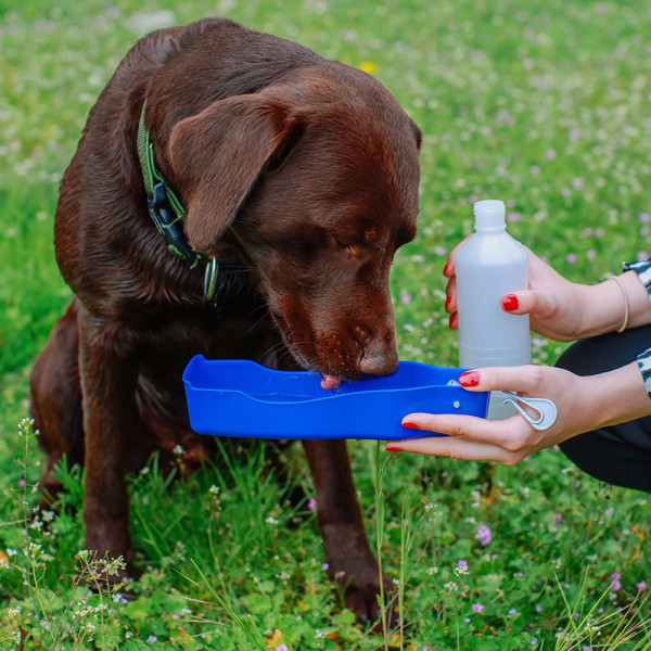 Reise-Trinkwasserflasche