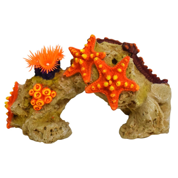 Aqua Ornaments "CORAL STONE WITH STARFISH" with plants