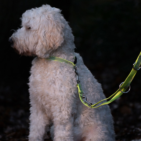 "Full Reflect" Lead leash