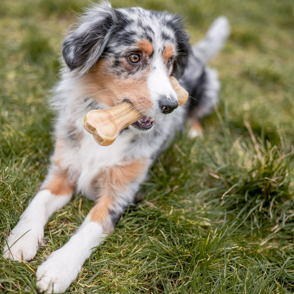 Rawhide bone pressed