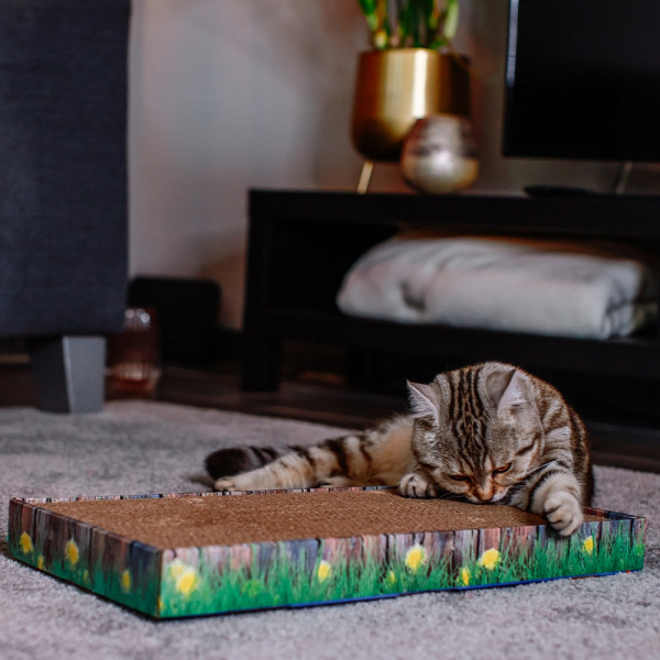 Kratzbrett aus Karton